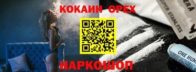 сатива Можга