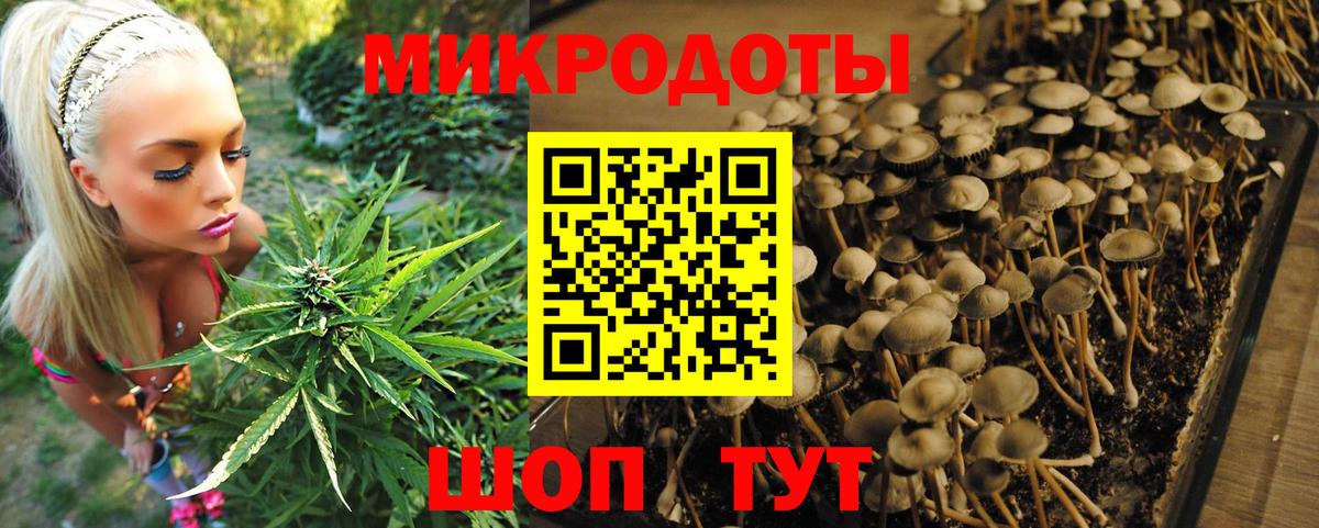Псилоцибиновые грибы мицелий  Вход с VPN  Псилоцибиновые грибы мицелий  Чита 