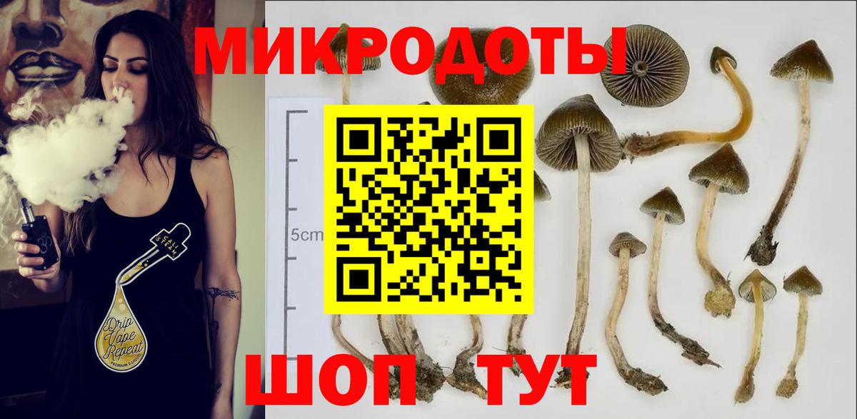 Галлюциногенные грибы мухоморы Чита